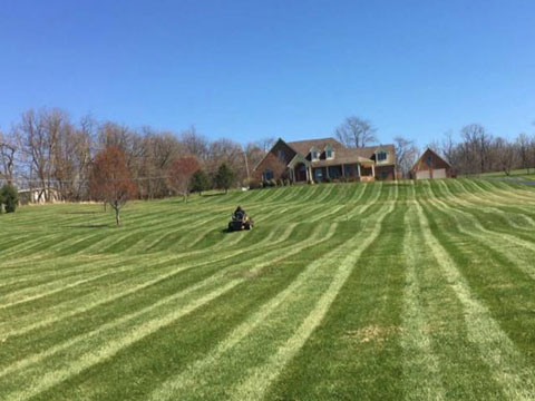 A plus Lawncare landscaping residential commercial mowing
