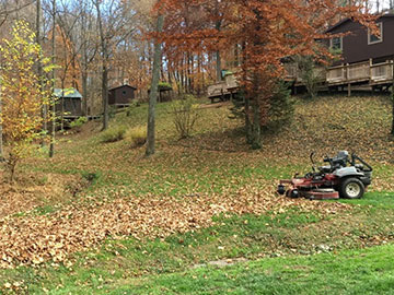 Fall Lawn Cleanup Leaves Sticks