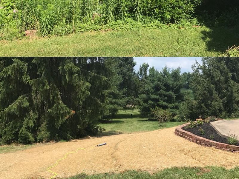 A+ Lawncare & Landscaping - Lawn Cleanup Services Near Me